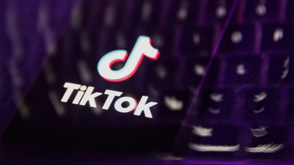 tiktok video downloader
